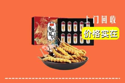 金台区回收冬虫夏草